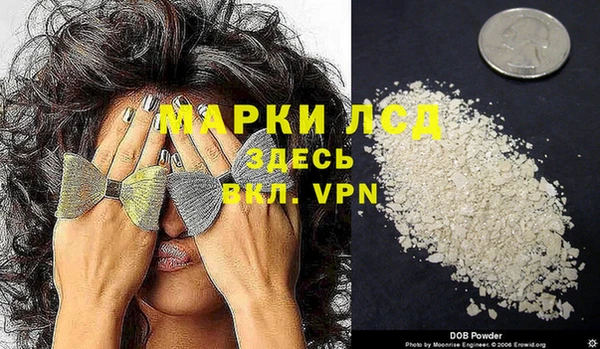 шишки Баксан