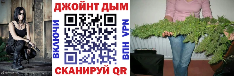 Конопля конопля Карачев